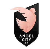 Los Angeles Soccer Sticker by Angel City FC
