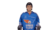 Hockey Van Sticker by UNIS Flyers
