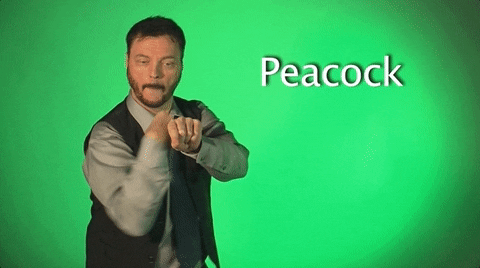 sign language peacock GIF by Sign with Robert