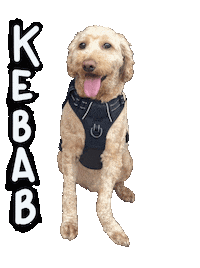 Golden Doodle Kebab Sticker by Bastian the Talking Terrier