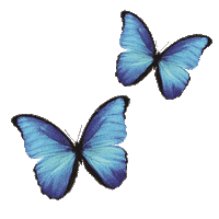 Come Fly With Me Butterfly Sticker by Red Aspen