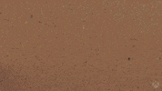Happy College Student GIF by Xbox