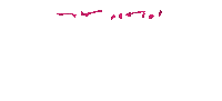 Art Text Sticker by The New Feminist