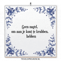 Humor Nl GIF by Tegelspreuken.nl