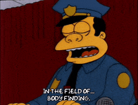 finding season 3 GIF