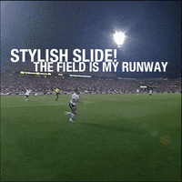 GIF by Wantering