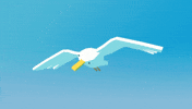 bird flying GIF