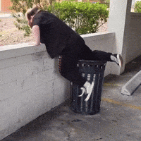 Parkour Agility GIF by Respective