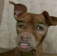 Dog GIF