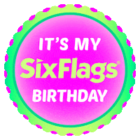 Happy Party Sticker by Six Flags