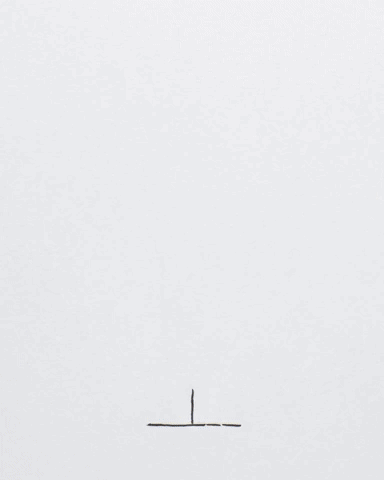 REEL cintascotch 2021