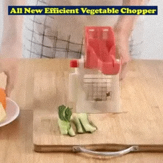 V2_is_the_name giphyupload GIF