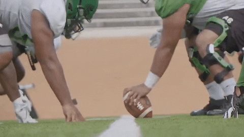 MeanGreenSports giphyupload gmg northtexas meangreen GIF