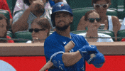 Blue Jays Baseball GIF by Toronto Blue Jays