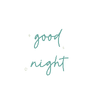 Good Night Fun Sticker