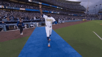 Los Angeles Dodgers Sport GIF by MLB