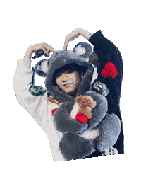 Koala Gotu Sticker