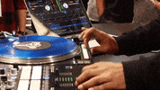 deejay djs GIF by Digital DJ Tips