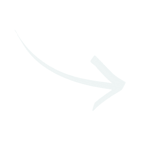 Arrow Sticker by Ancient Nutrition