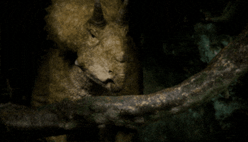 Dinosaur GIF by PBS