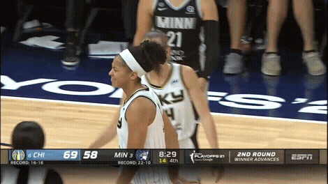 Wnba Playoffs Sport GIF by WNBA