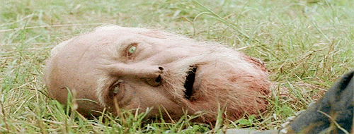 GIF by netflixlat
