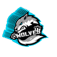 Wolves Sticker by Stock King Options