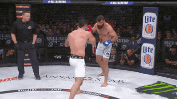 GIF by Bellator