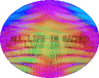 glitch sticker by Sarah Zucker