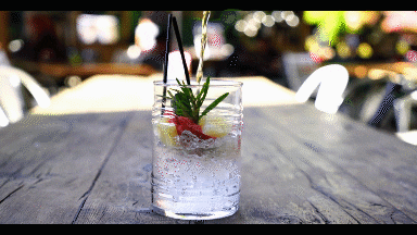 Gin Tonic Party GIF by Ositos Con Alcohol