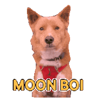 Moonspacedog Sticker by hamlet
