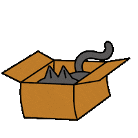 Cat Kitty Sticker by 궁디팡팡 캣페스타