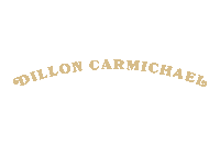 Dillon Carmichael Sticker by Artistnoize