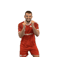 swisshandball_official handball schweiz swiss meister Sticker