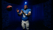 Kentucky Wildcats GIF by UK Athletics