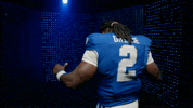 ukathletics kentucky kentucky wildcats kentucky football uk football GIF
