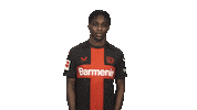 Posing Bayer 04 Sticker by Bundesliga
