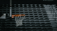 ncaa sports basketball GIF by Delaware Blue Hens