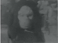 scottok halloween home movies GIF