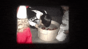 scottok halloween home movies GIF