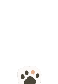 Cat Swipe Up Sticker