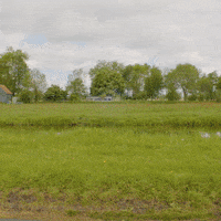 auto pech GIF by ANWB