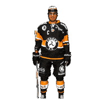 Hockey Fuessen Sticker by EV Füssen