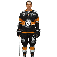 Hockey Fuessen Sticker by EV Füssen