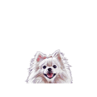 Nalaathepom Sticker by Bellucci Manila