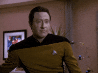 excellent choice GIF