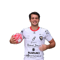 VilleurbanneHA handball proligue villeurbanne vha Sticker
