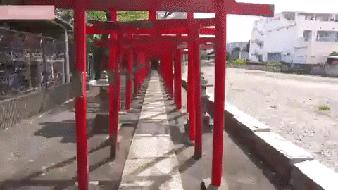 Animated GIF
