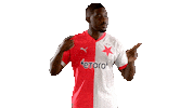 Football Soccer Sticker by SK Slavia Praha