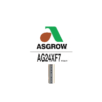 Bayer Soybeans Sticker by DEKALB Asgrow Deltapine